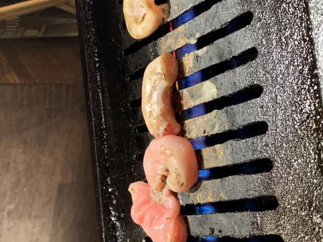 新鮮ホルモンタイガー 岐阜駅玉宮店へのポニョさんのレビュー写真