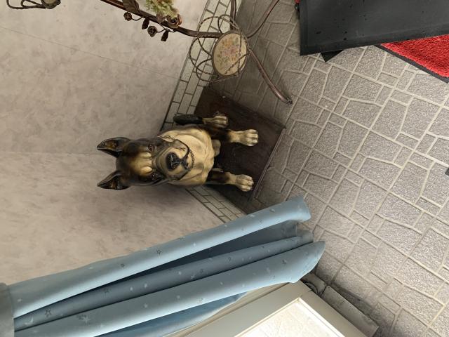 やすらぎへのポニョさんのレビュー写真
