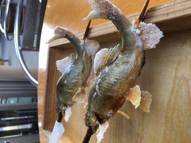 道の駅 古今伝授の里やまとへのコニーさんのレビュー写真