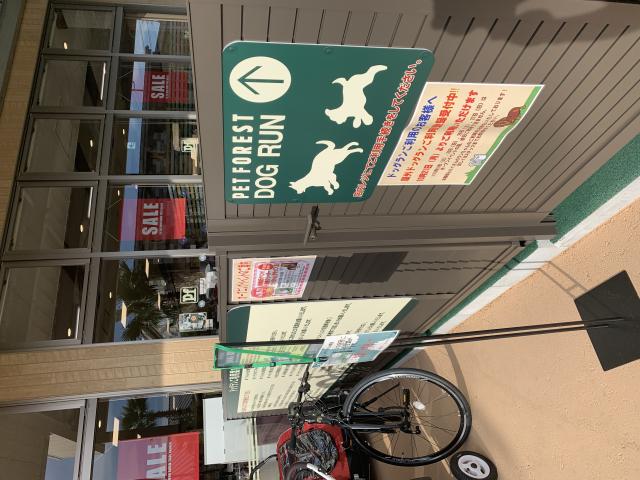 PET FOREST カラフルタウン岐阜店のレポート写真2（ポニョ）