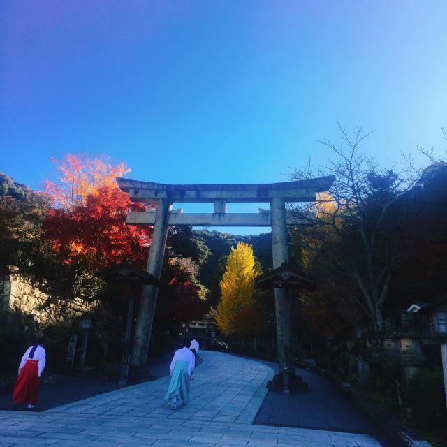 伊奈波神社への岐阜の食いしん坊担当さんのレビュー写真