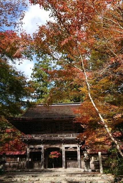 大矢田神社へのヨゼさんのレビュー写真