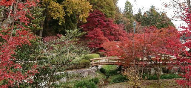 曽木公園へのヨゼさんのレビュー写真