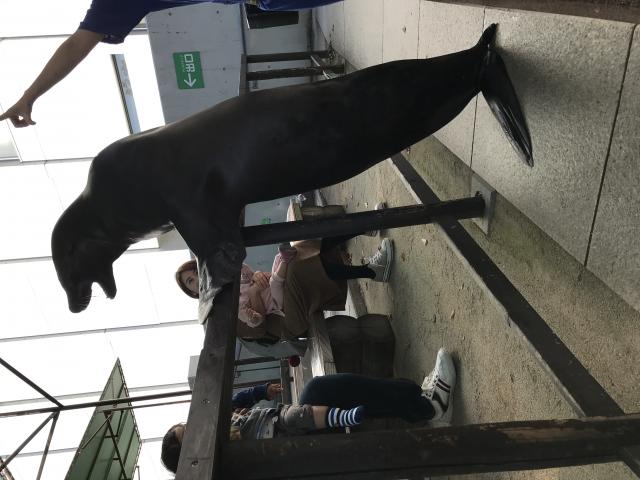 岐阜県世界淡水魚園水族館 アクア・トト ぎふへのまなみさんのレビュー写真