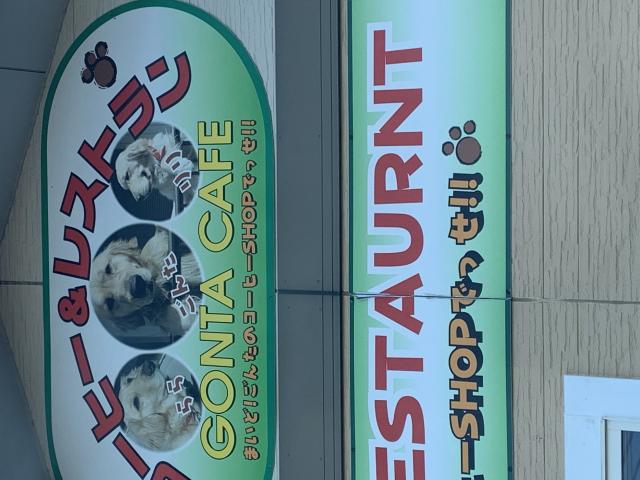 ごんたへのポニョさんのレビュー写真