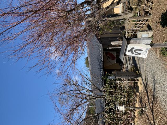 鰻英へのポニョさんのレビュー写真