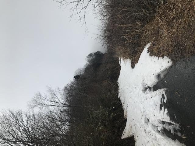 冠山峠へのまなみさんのレビュー写真