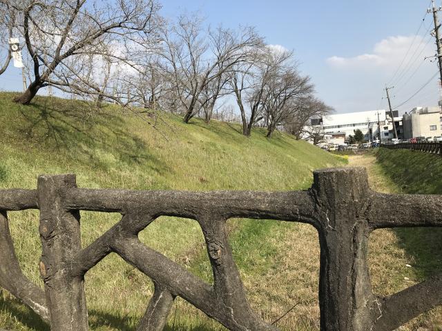 黒野城跡へのまなみさんのレビュー写真