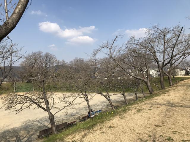 黒野城跡へのまなみさんのレビュー写真