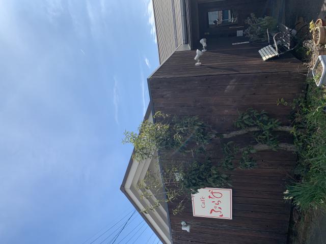 カフェ ぷらなへのポニョさんのレビュー写真