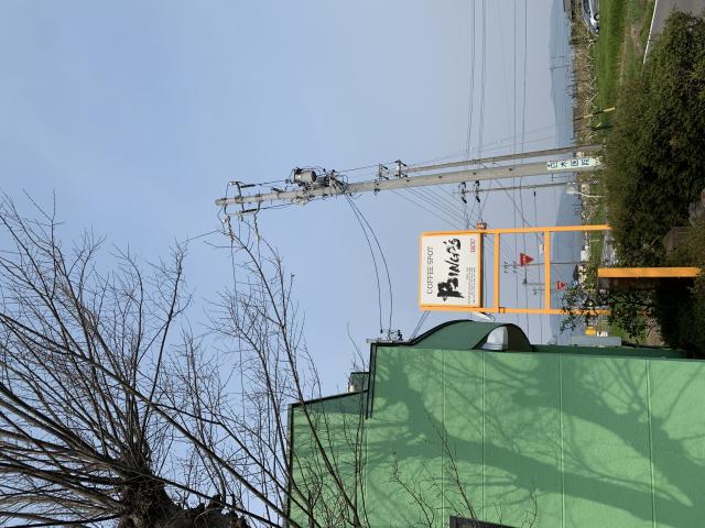 BINGOへのポニョさんのレビュー写真