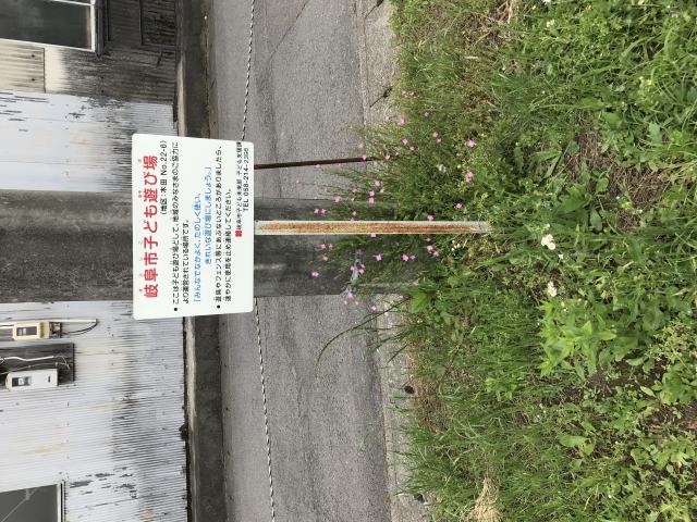 岐阜市子ども遊び場(木田No.22-6)へのまなみさんのレビュー写真