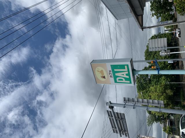 PAL へのポニョさんのレビュー写真