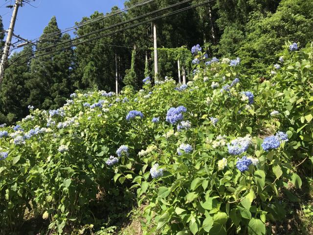 板取川温泉バーデェハウスへのまなみさんのレビュー写真