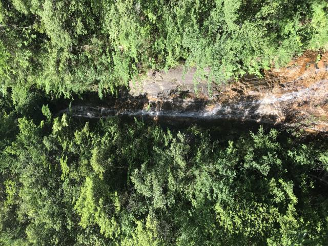 川浦渓谷へのまなみさんのレビュー写真