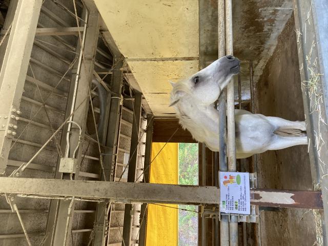 奥飛騨山之村牧場へのまなみさんのレビュー写真