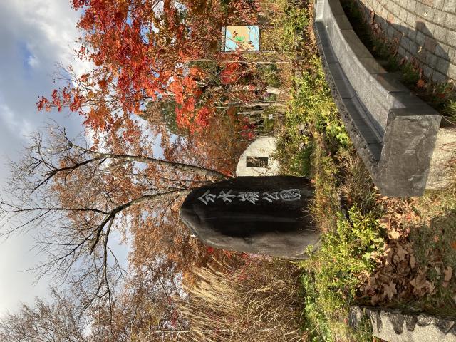 ひるがの分水嶺公園へのまなみさんのレビュー写真