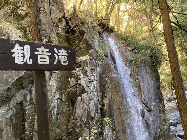付知峡のレポート写真2（まなみ）