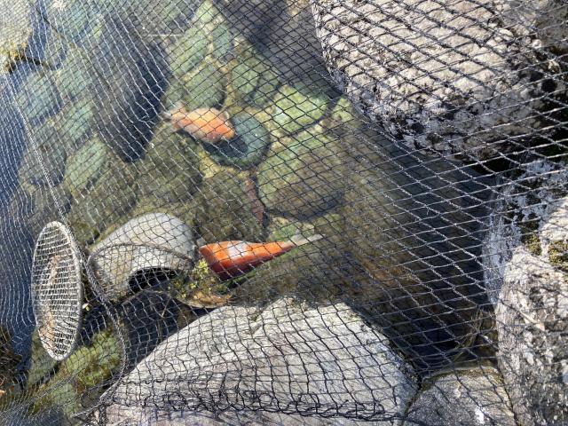 イビコン 創造の泉へのまなみさんのレビュー写真