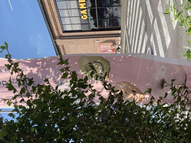 フロレスタ イオンタウン各務原店へのポニョさんのレビュー写真