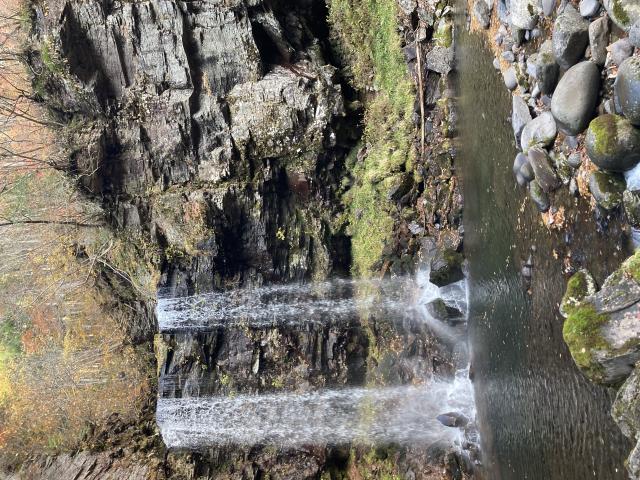 奥長良川県立自然公園 夫婦滝へのまなみさんのレビュー写真