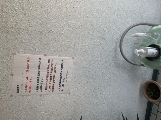 グラッツェへのポニョさんのレビュー写真