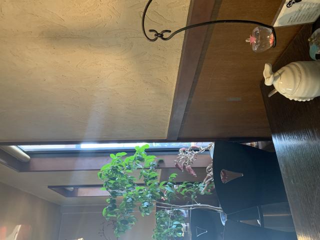 コンゴへのポニョさんのレビュー写真