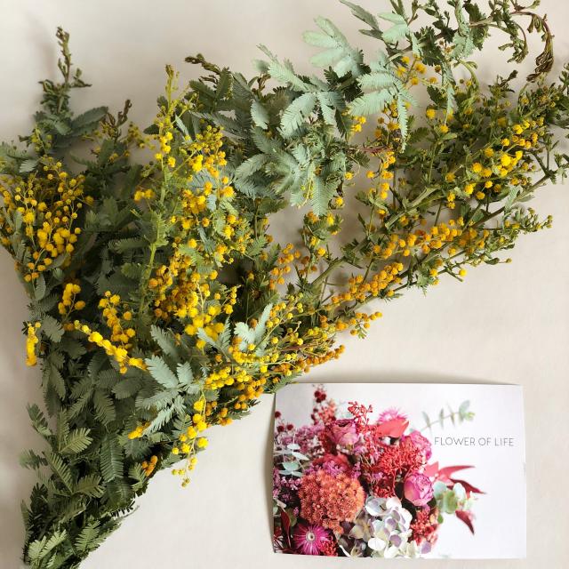 FLOWER OF LIFEへのにしこさんのレビュー写真
