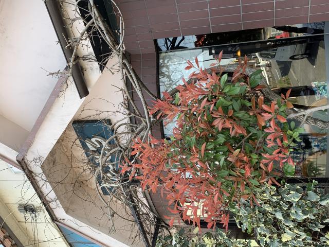 珈琲倶楽部 びーどろへのポニョさんのレビュー写真