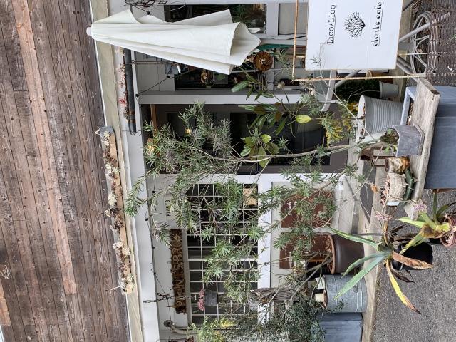 plants cafeへのポニョさんのレビュー写真