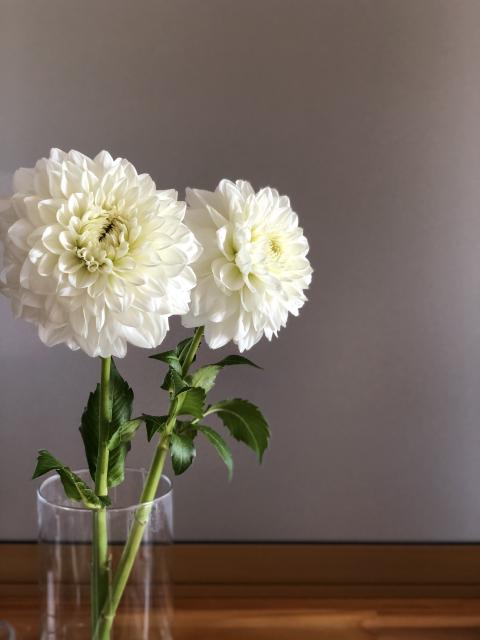 はなや　菊之屋へのにしこさんのレビュー写真