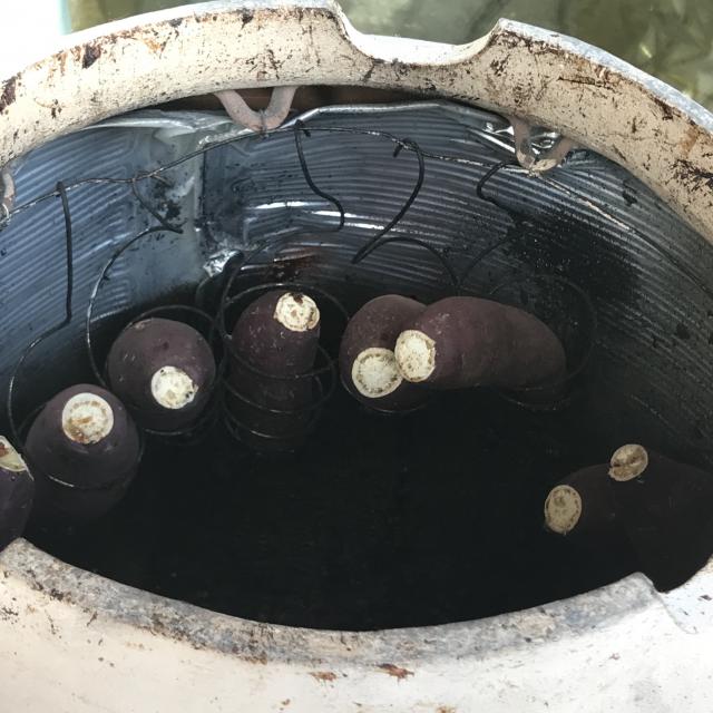 moiへの岐阜の食いしん坊担当さんのレビュー写真