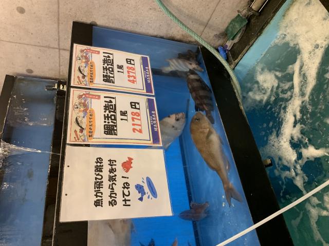 羽島漁港本店のレポート写真2（ポニョ）
