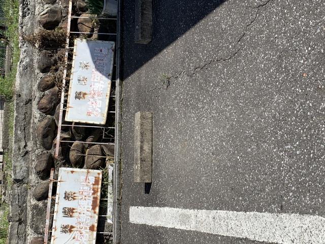葵へのポニョさんのレビュー写真
