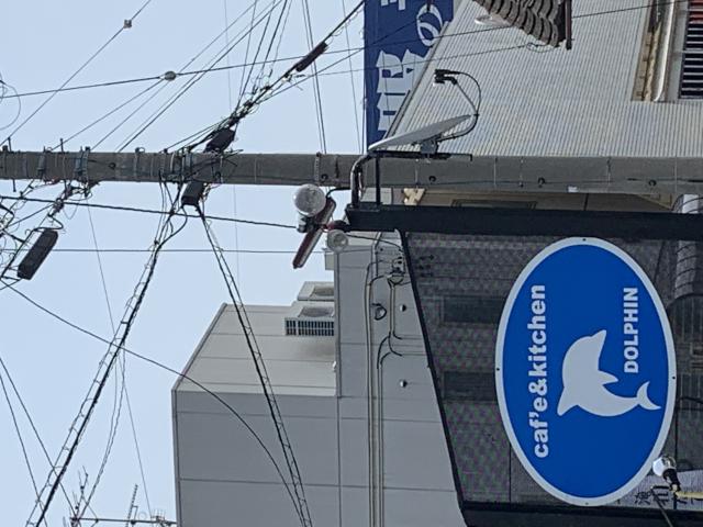 Cafe&kitchen DOLPHINへのポニョさんのレビュー写真
