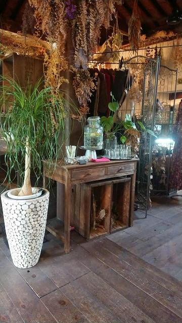 cafe&zakka ホドナラフのレポート写真4（ヨゼ）