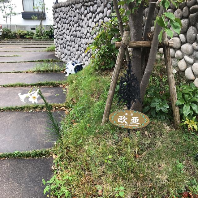 茶房 欧亜への岐阜の食いしん坊担当さんのレビュー写真