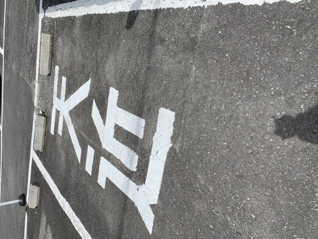 天近 駅前店のレポート写真5（ポニョ）