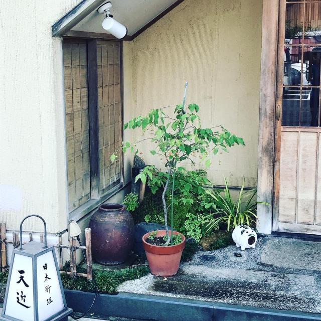 天近 駅前店への岐阜の食いしん坊担当さんのレビュー写真