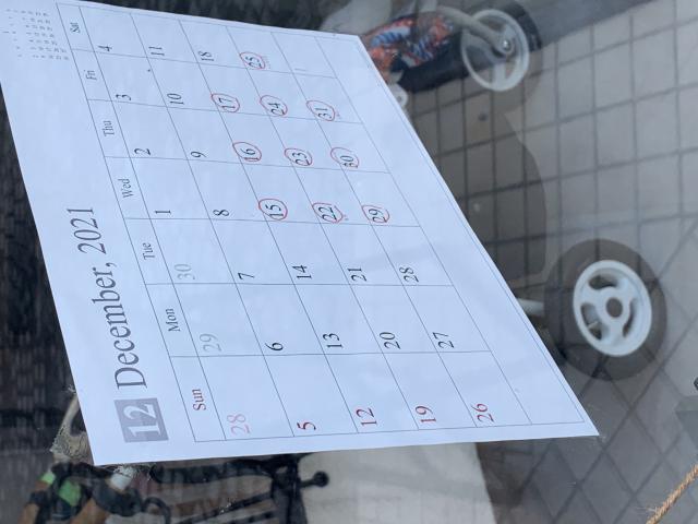 MOON BAKERYのレポート写真4（ポニョ）