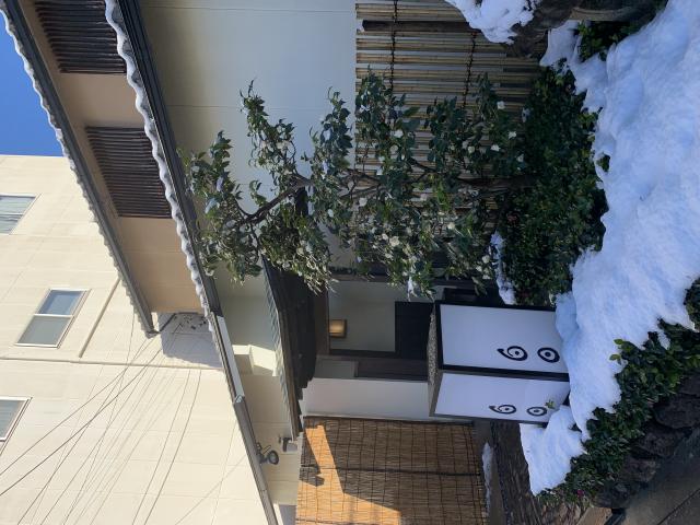 日本料理 白日へのポニョさんのレビュー写真