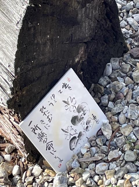 ギャラリー&カフェ 204への岐阜の食いしん坊担当さんのレビュー写真