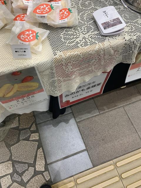 みのかも金蝶堂のレポート写真4（ポニョ）