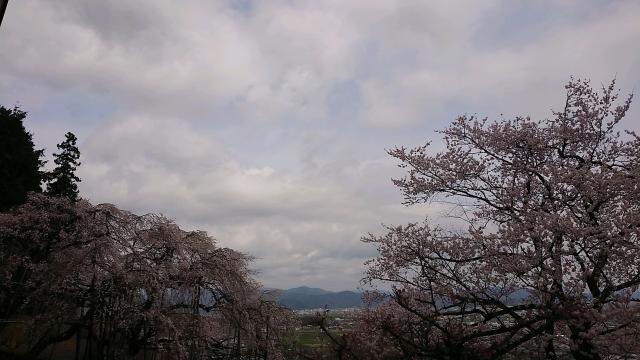 霞間ヶ渓公園へのヨゼさんのレビュー写真