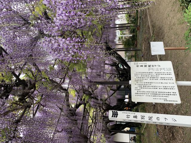 竹鼻別院へのポニョさんのレビュー写真