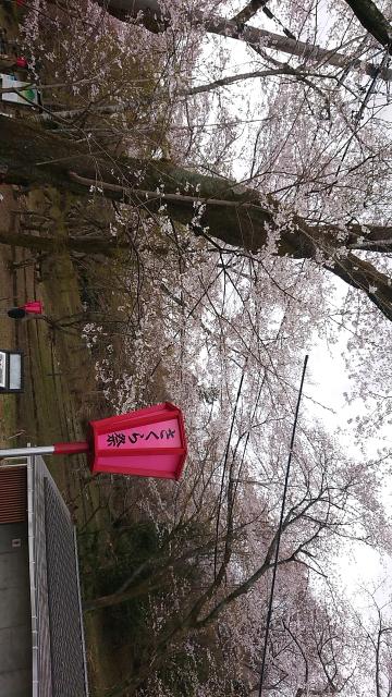 霞間ヶ渓公園へのヨゼさんのレビュー写真