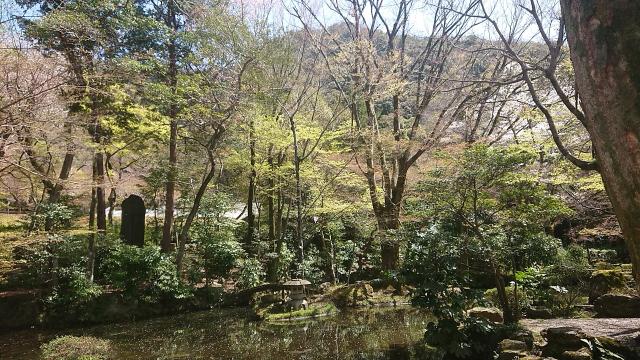 岐阜公園へのヨゼさんのレビュー写真