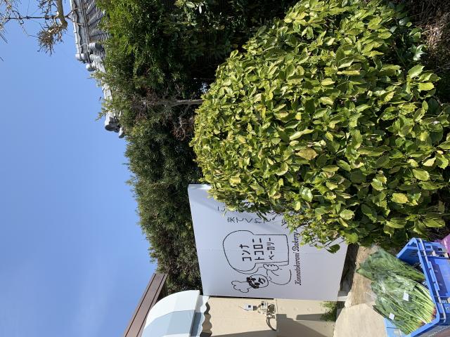 コンナトコロニベーカリーへのポニョさんのレビュー写真