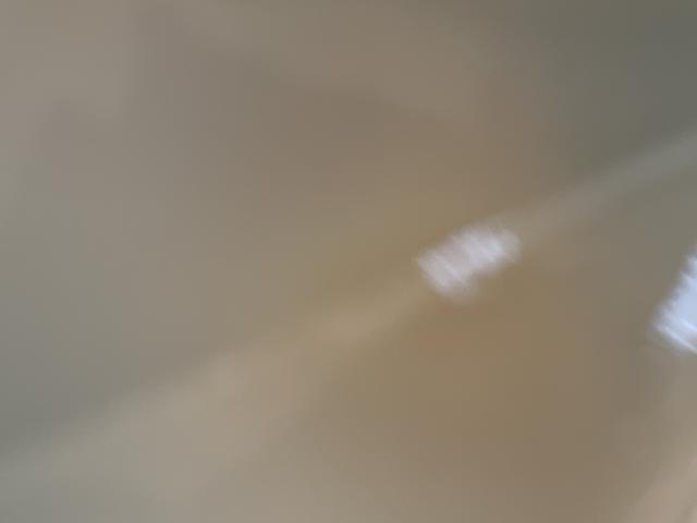 株式会社 フジコンフェのレポート写真3（ポニョ）