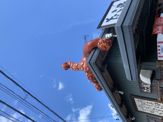 たこまるへのポニョさんのレビュー写真